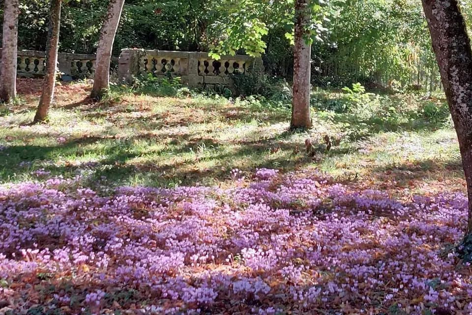 Château d’Argentonesse — photo 6