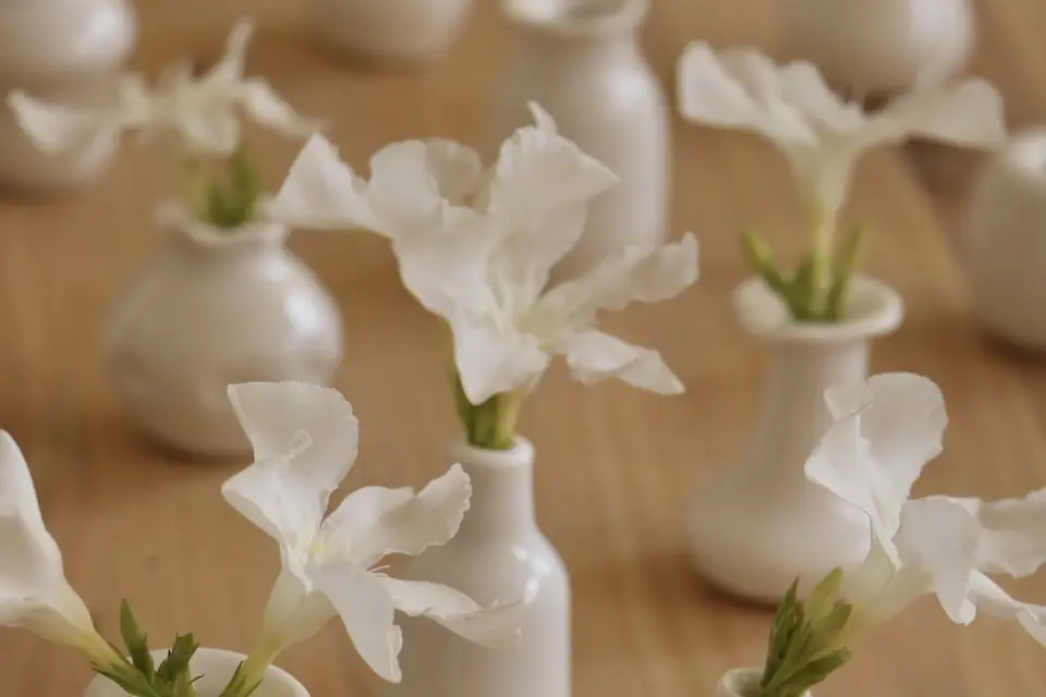 Juliette Comar — photo 7