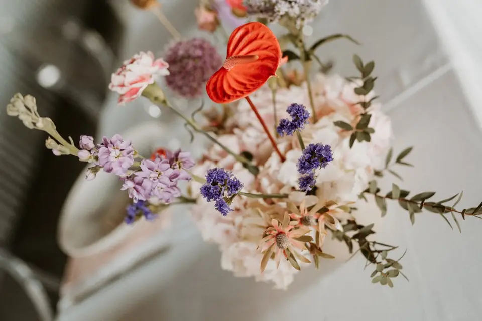 Dubouquet Fleuriste — photo 1