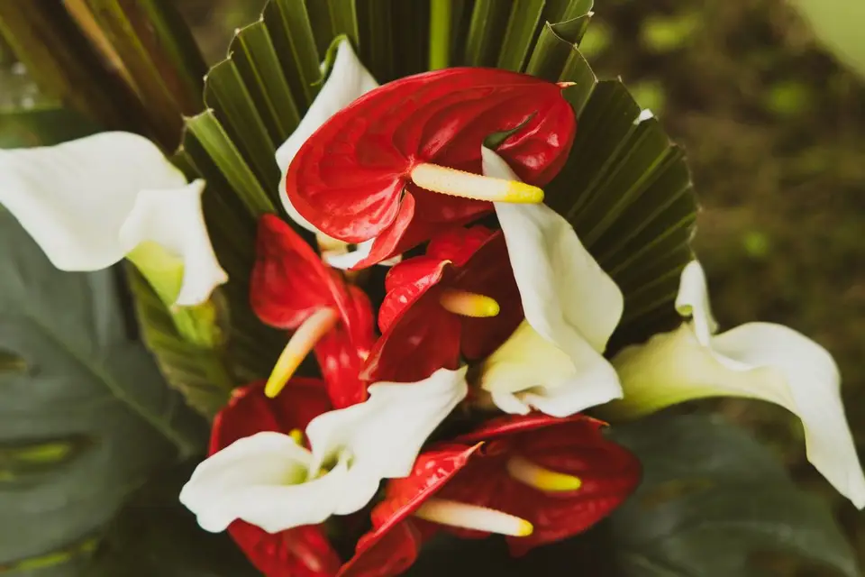 Your Tropical Flowers by Mae — photo 6