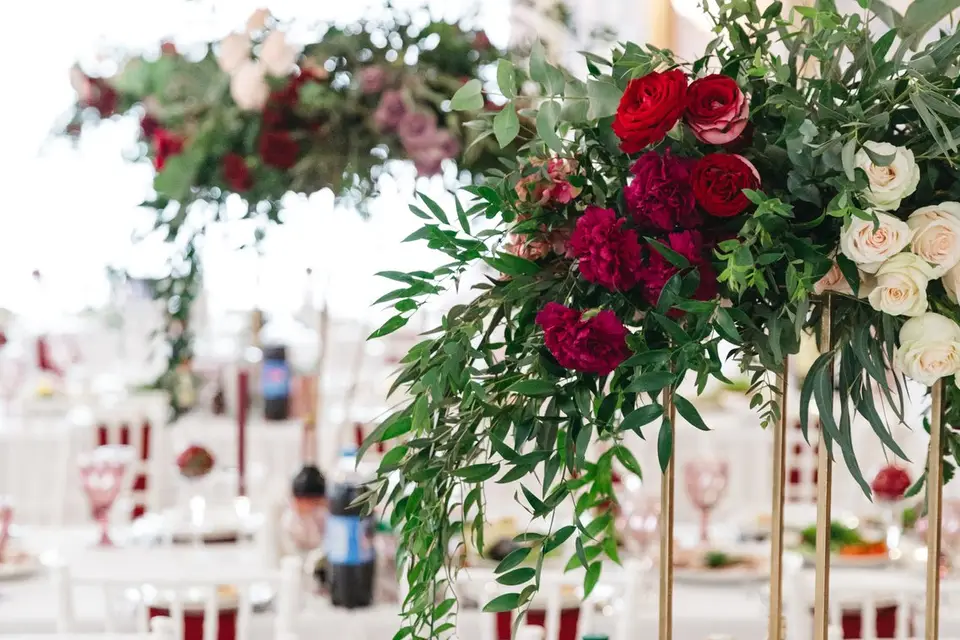 Sparkle - Balloons and Papers — photo 6