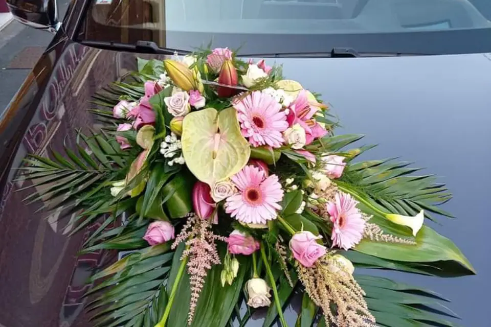 Barack'à fleurs — photo 1