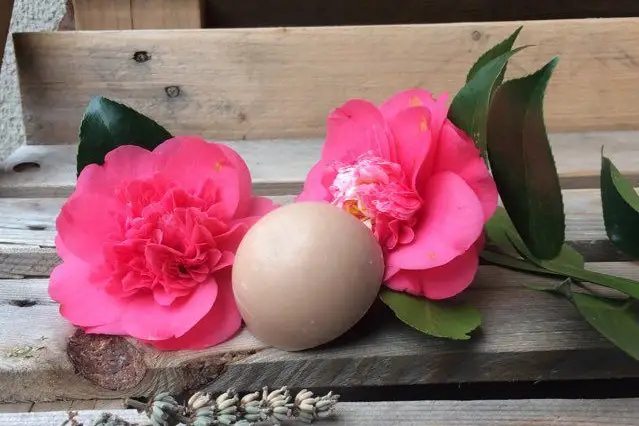 La Caravane des Senteurs — photo 1