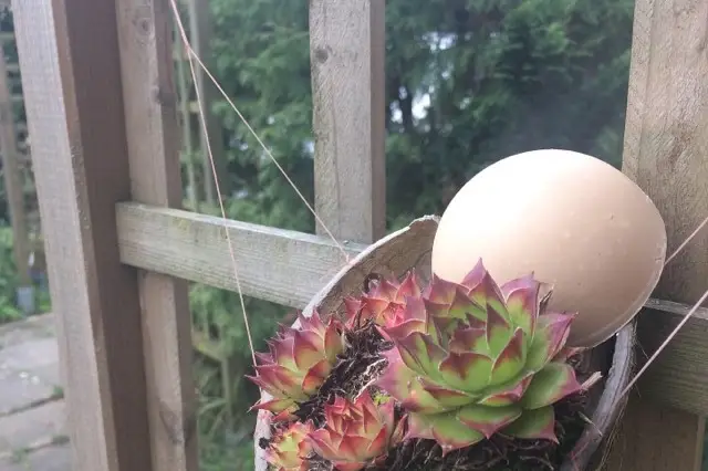 La Caravane des Senteurs — photo 4