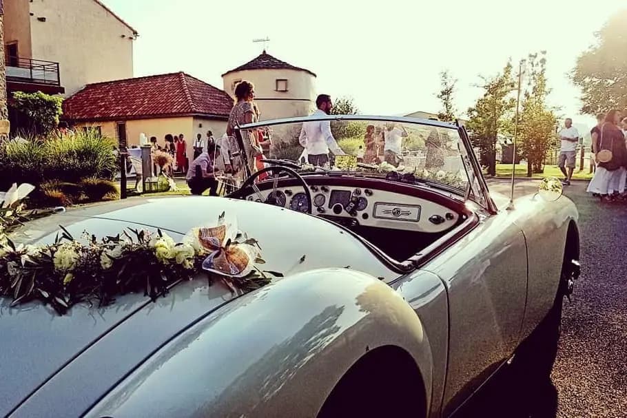 Mademoiselle Pivoine — photo 4