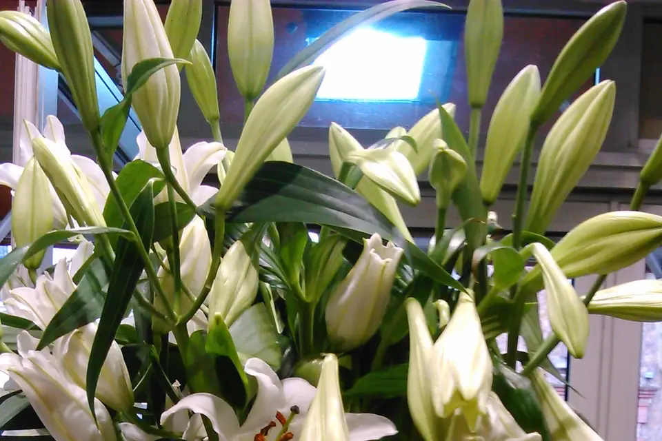 L'Atelier Florissant — photo 3