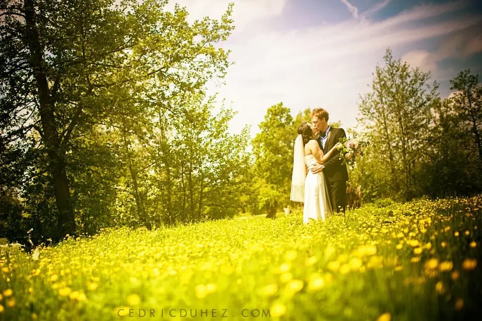 Les Aires en Scènes — photo 5