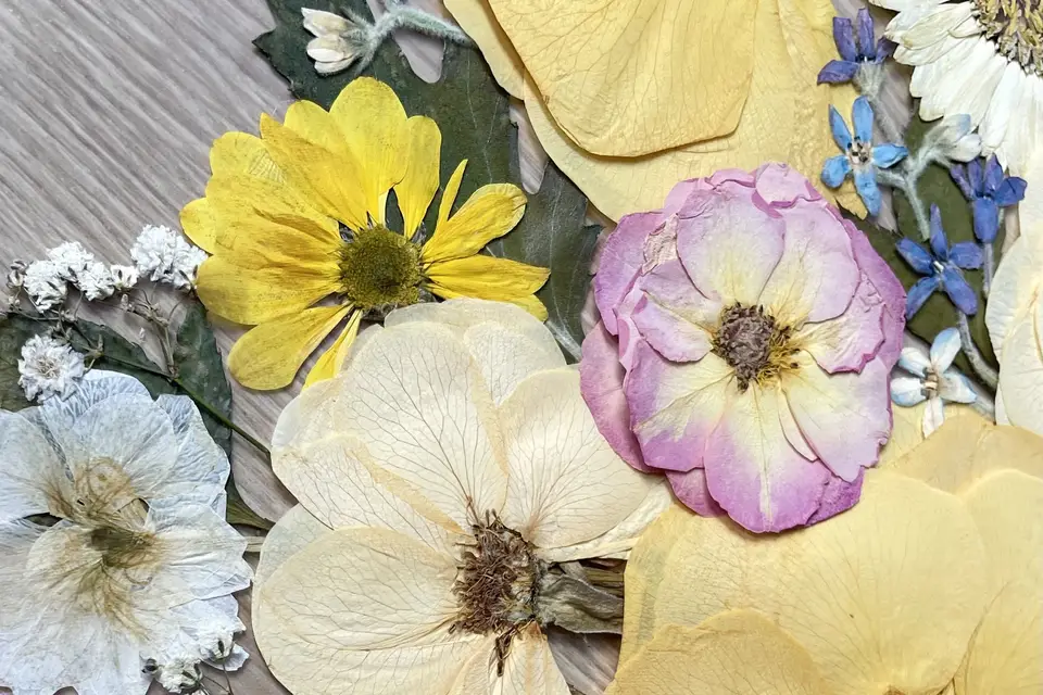 Petites Pensées Papeterie — photo 7