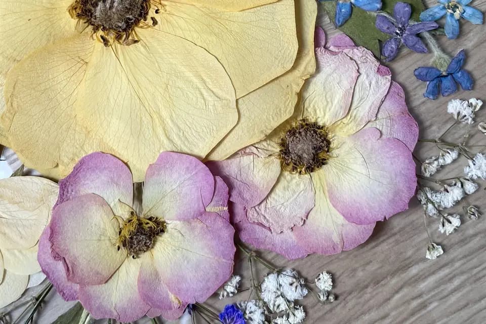 Petites Pensées Papeterie — photo 8