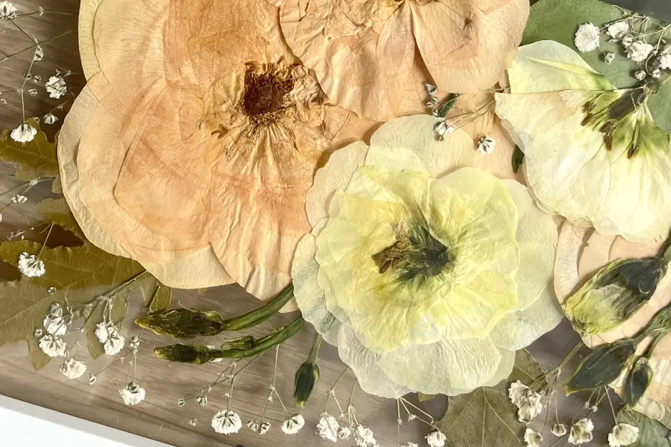 Petites Pensées Papeterie — photo 2