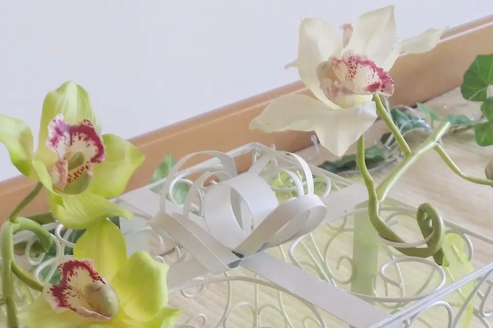 Exquiz'Orchidée — photo 3