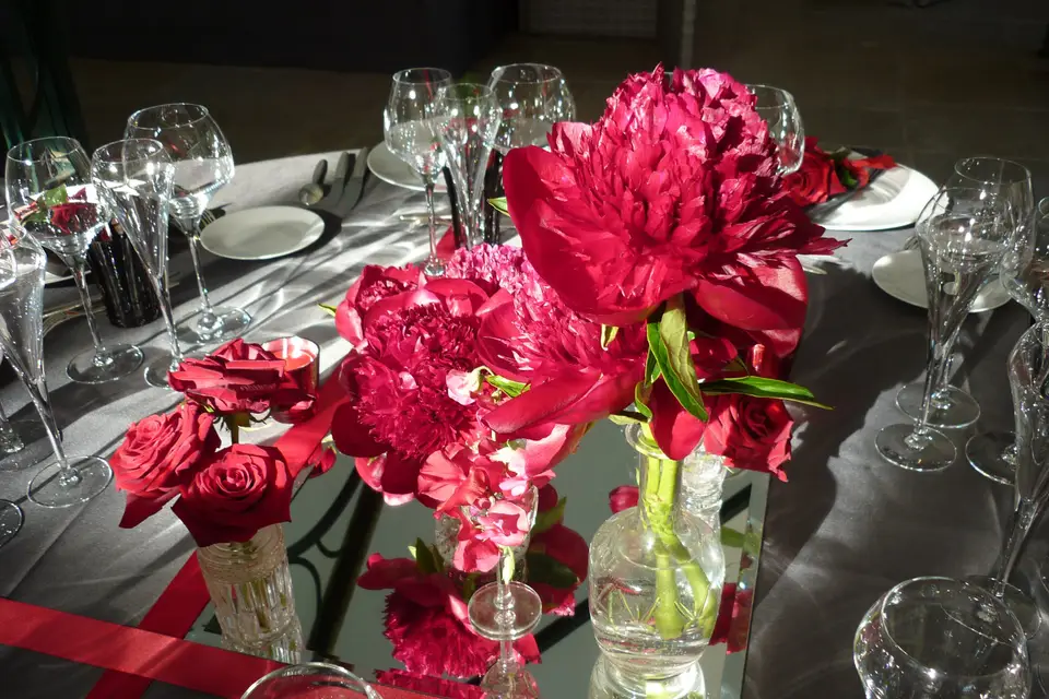 Exquiz'Orchidée — photo 6