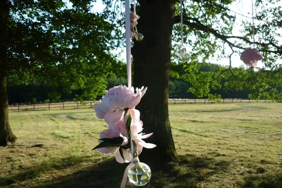 Exquiz'Orchidée — photo 7