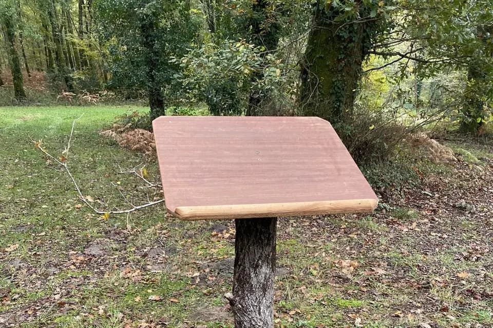 Lanas Location — photo 4