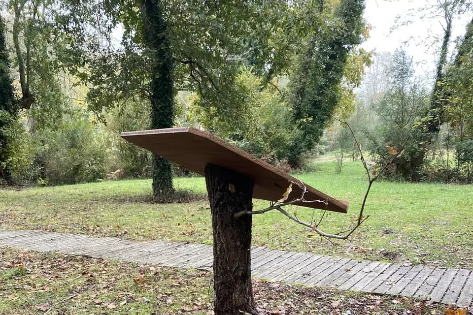 Lanas Location — photo 5