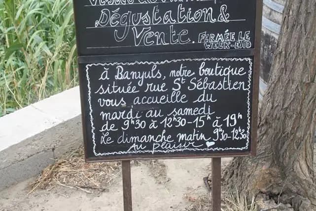 Bio Terre — photo 5