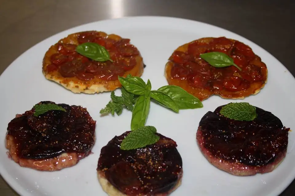 Bio Terre — photo 3