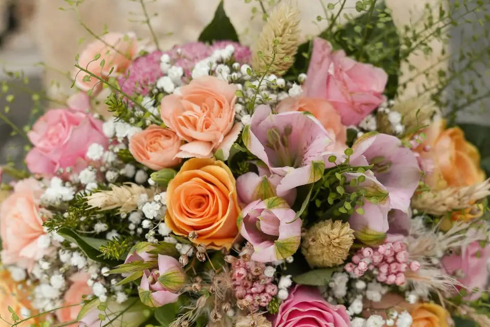 Kamille Lancien — photo 4