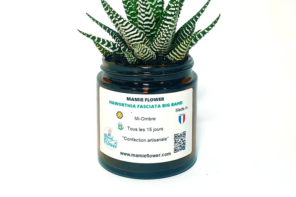 Mamie Flower — photo 3