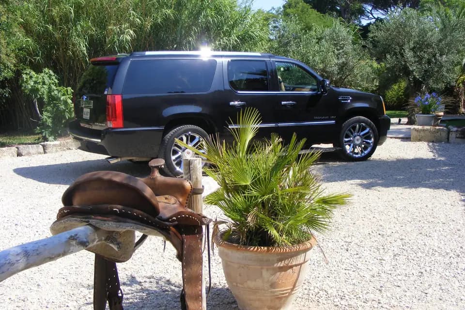 Titi Limousine — photo 4