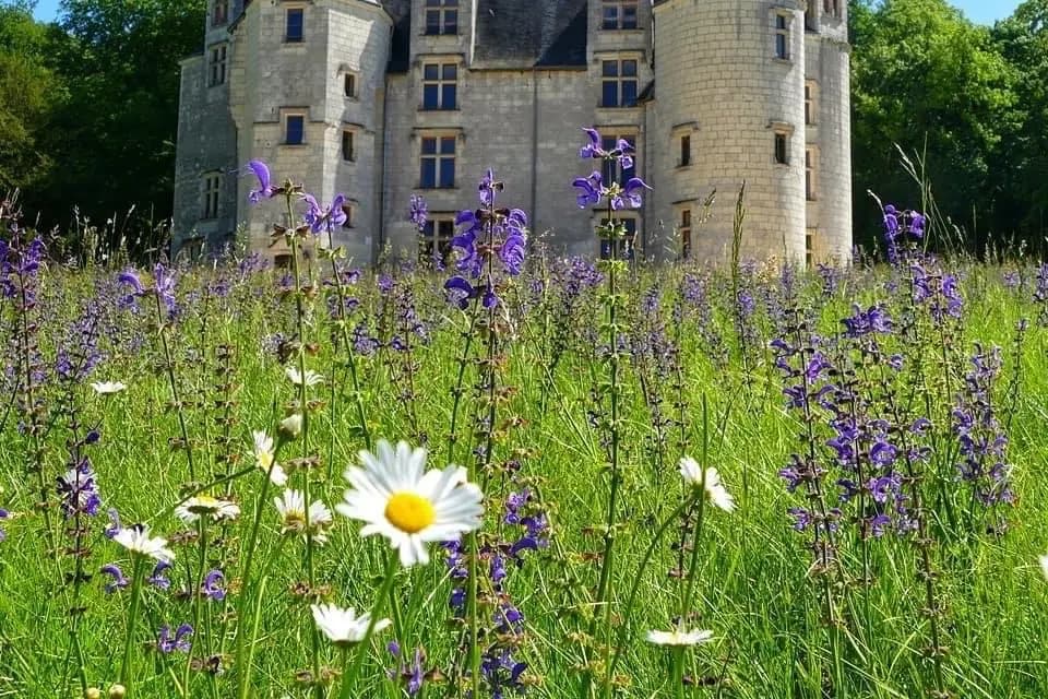 Château des Brétignolles — photo 4