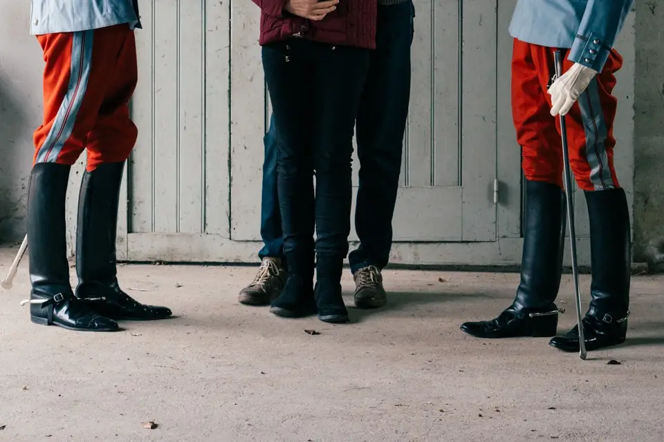 History Horse — photo 6