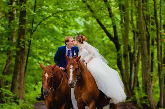 History Horse — photo 2