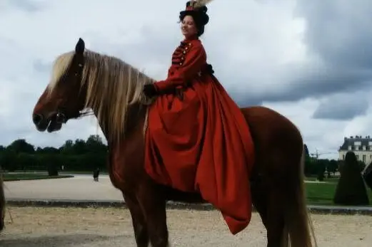 History Horse — photo 4