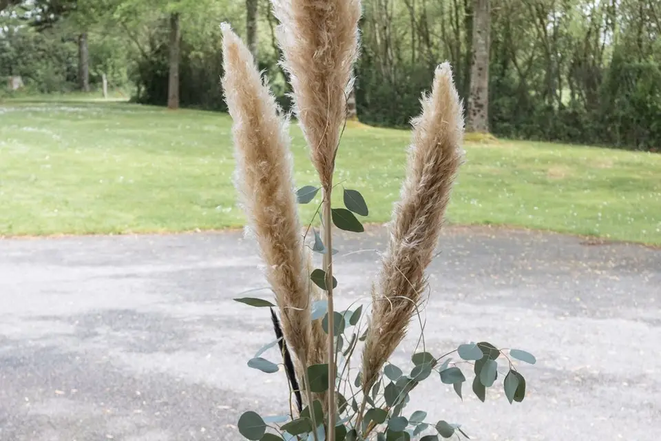 Justine Fleurs — photo 7