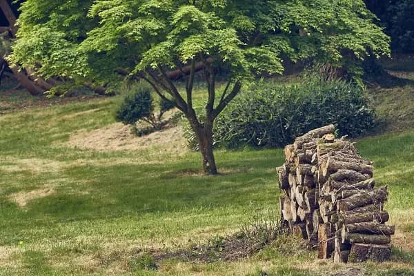 Le Jardin Saint Germain - Lodges & Events — photo 7