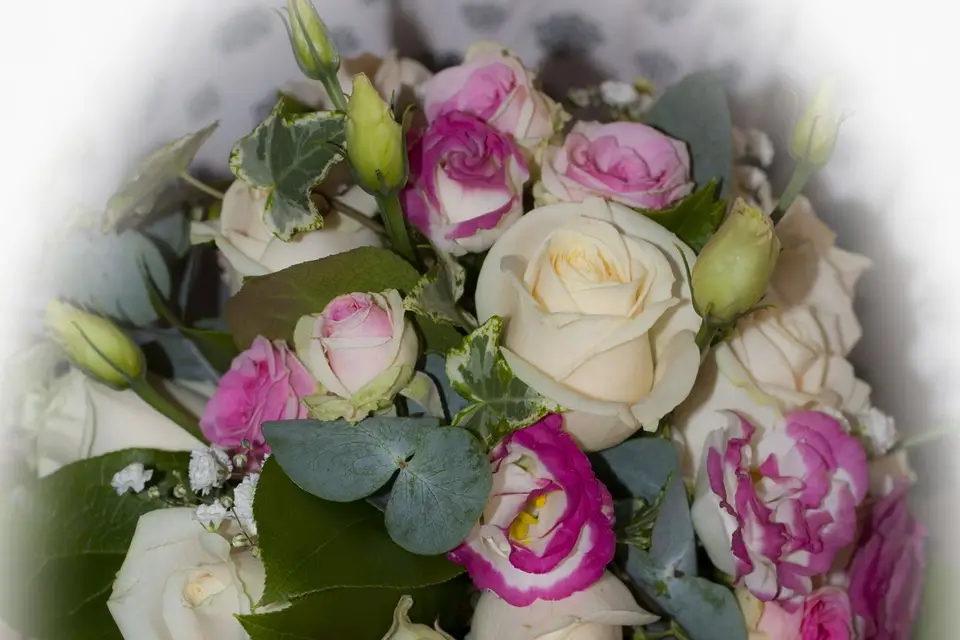 Christelle.S Photography — photo 7