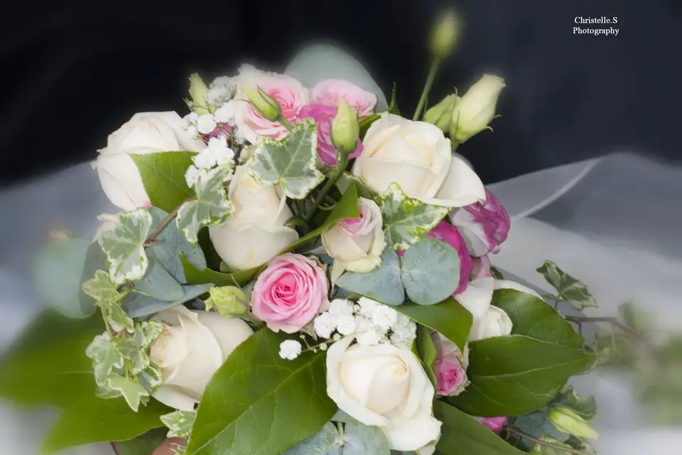 Christelle.S Photography — photo 8