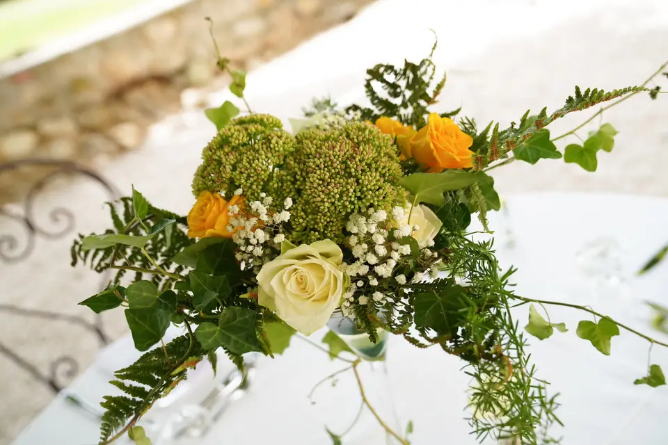 Eclosion Florale — photo 2