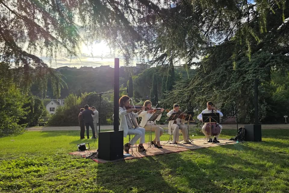 Line Up Event — photo 2