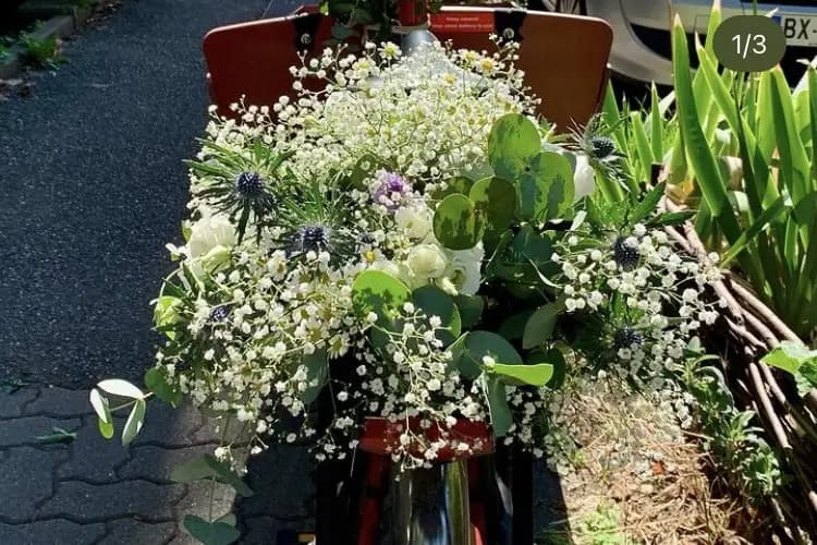 Atelier Akène — photo 4