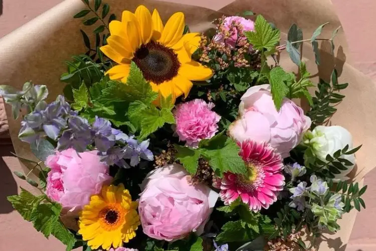 Atelier Akène — photo 8