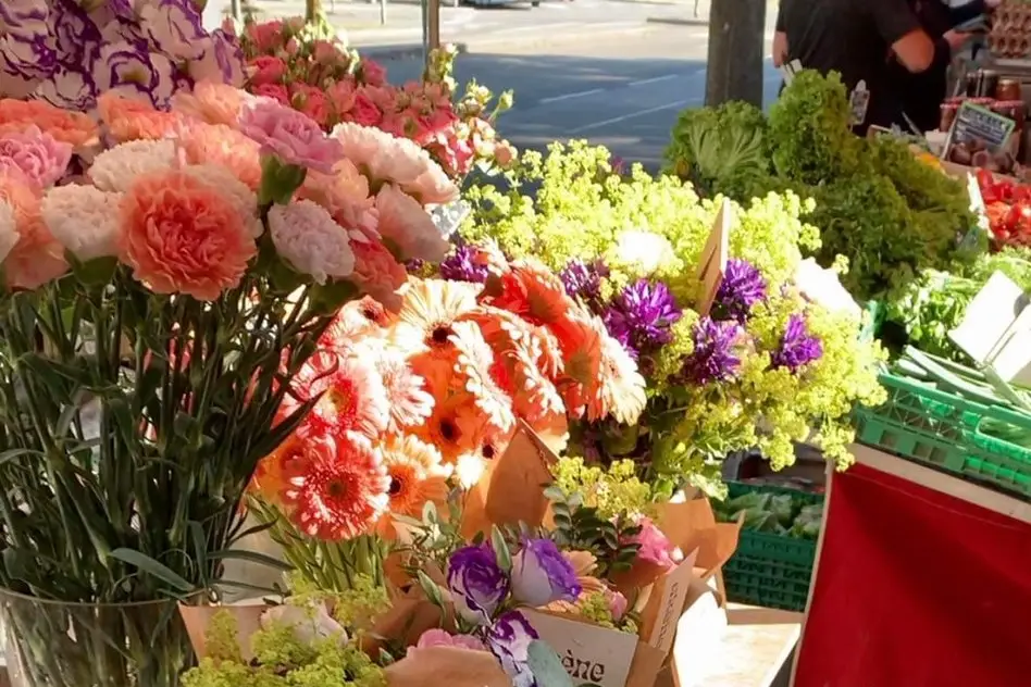 Atelier Akène — photo 5