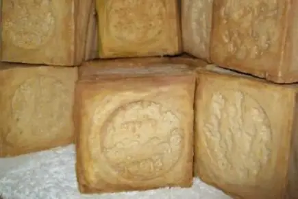 Provencine — photo 3