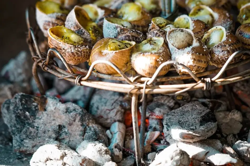 Le Traiteur du Mas — photo 4