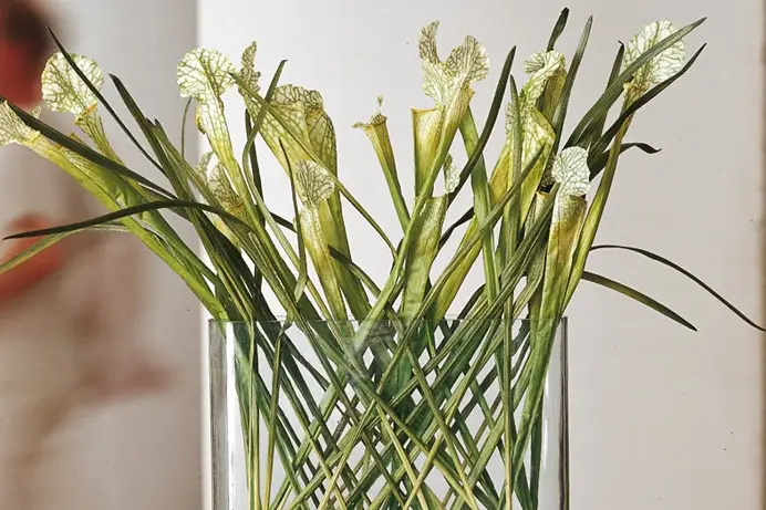 Une Autre Maison — photo 3