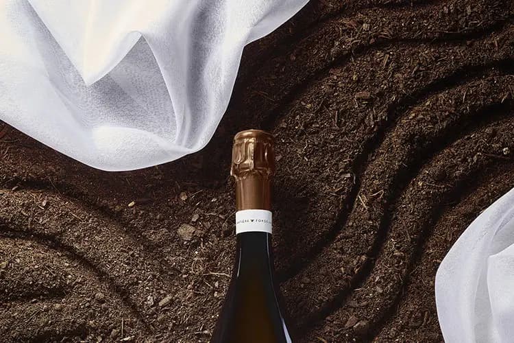 Luxury Sparkling — photo 4