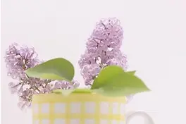 Rousselon-Pral — photo 1