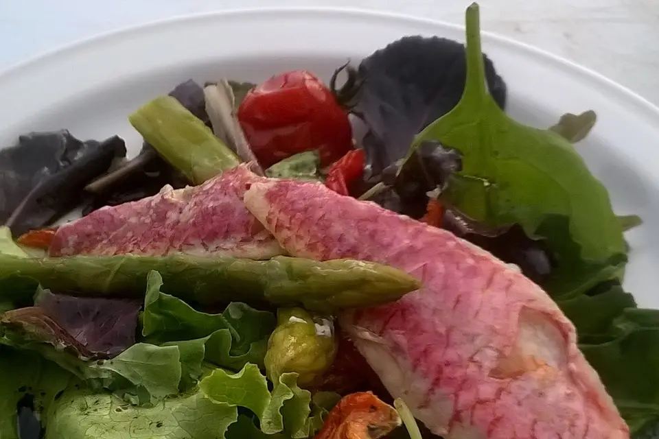 Convivial Event — photo 5