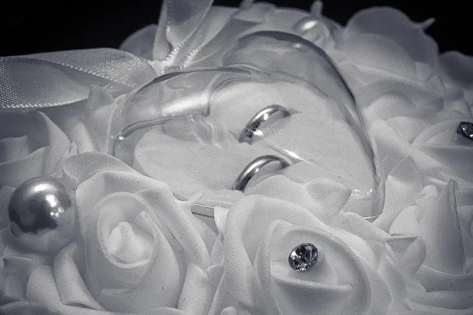 Color Studio — photo 1