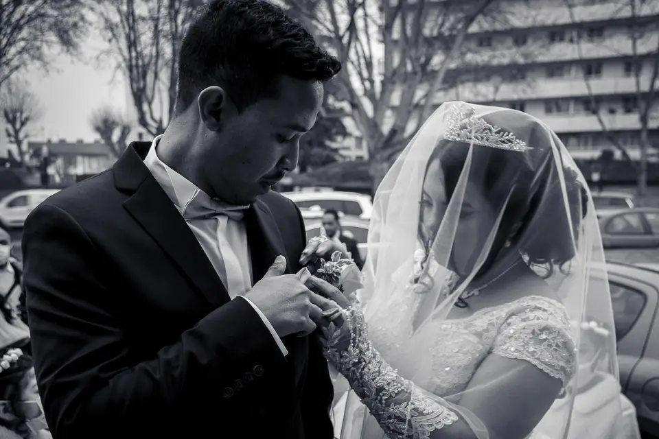 Color Studio — photo 6