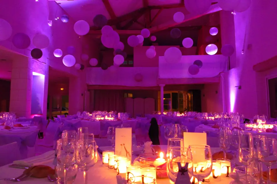 DJ Nicolas Animation — photo 7