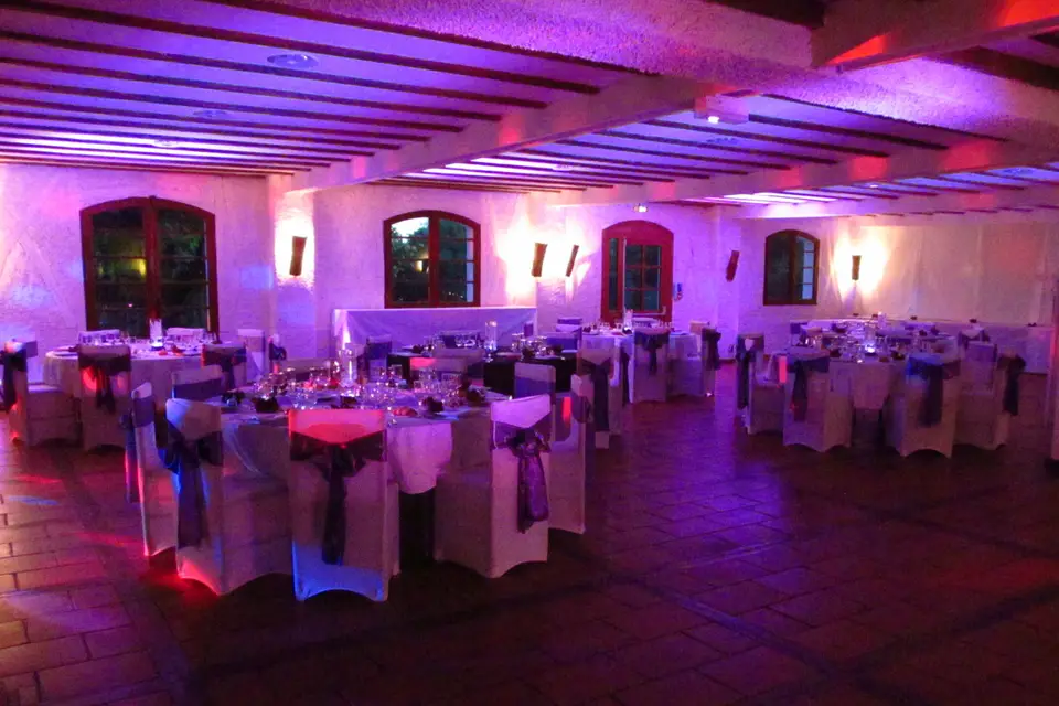 DJ Nicolas Animation — photo 8