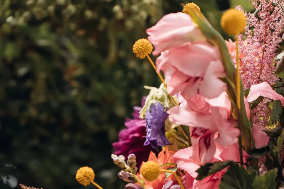 Les Prunelles — photo 4