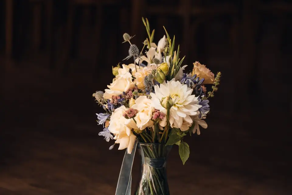 Les Prunelles — photo 7