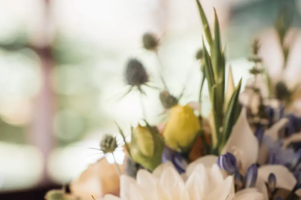 Les Prunelles — photo 6